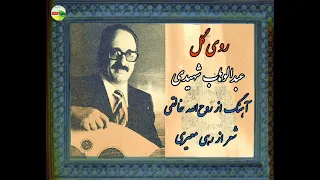 روی گل عبدالوهاب شهیدی 