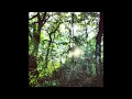 The Slow Descent - Seth Coble