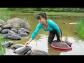Download Lagu Harvesting A Lot Of Snails Goes To Market Sell - Take Care Ducks \u0026 Pigs | Phuong Daily Harvesting