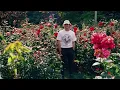 Ritt Momney - Put Your Records On (Official Audio)