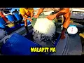 Download Lagu P21 - HALOS MAPUNO AGAD ANG ISANG BODEGA - EP47