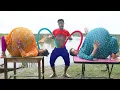Download Lagu Top Hundred of One Trending Very Special Comedy Video 😂 Comedy Video 2025 Ep 342 By Busy Fun Ltd