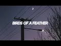 Download Lagu Billie Eilish - Birds of a feather | I'll love you till the day that I die (slowed + reverb)[Lyrics]