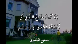 مشاري العفاسي  ق ال  الن  ب ي   صلى الل  ه  علي ه وسلم  إ ذ ا ك ان  ج ن ح  الل  ي ل أ و  أ م س ي ت م دندنها