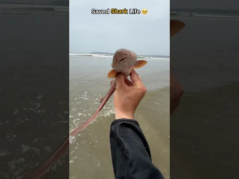 He was dying inside net… but i didn’t give up 🥺
