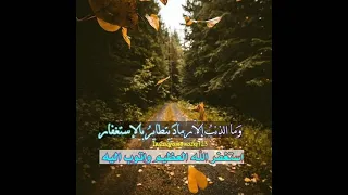 أنشوده توكلت في رزقي على الله خالقي كامله دندنها