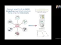 Mitochondrial Psychobiology