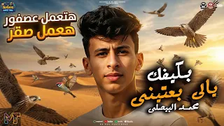 موال هتعمل عصفور هعمل صقر   بكفيك يالى بعتين   محمد البصيلى   مواويل شعبى      دندنها
