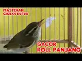 Lagu BURUNG CIKRAK KUTUB ROLL PANJANG COCOK BUAT MASTERAN...