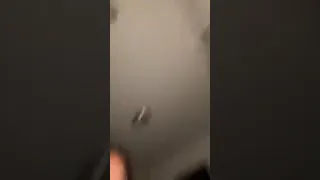wynn twins instagram live 7 31 2022