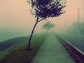 Pitch Black - Empty Space Missing Units (Modules Happy Machine Remix)