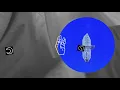 Mogli - Earth (Official Lyric Video - 'Expedition Happiness' Soundtrack)