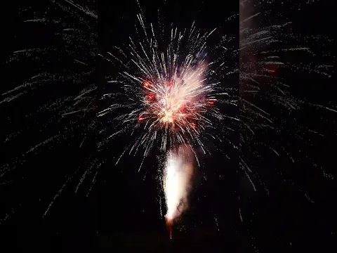 100 Shots A Giant Tree #pyro #pyrotechnics #fireworkscake #fireworks2026