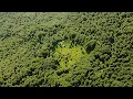 Download Lagu Een onbreekbare grootmoeder in volledige isolatie tussen dichte bergbossen ver van de beschaving