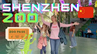 在中国深圳轻松度假