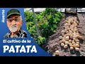 Download EL CULTIVO DE LA PATATA - Guía completa- Potato cultivation, La culture de la pomme de terre mp4 3gp mp3 videos - waplic