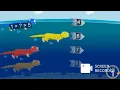Swimming Otters Multiplication Math Playground