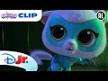 Lagu 💡 Geen Licht in Kittydale! | Super Katjes | Disney Junior BE