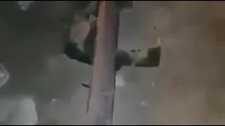 فيديو شاهد مستهتر يهرب من دورية أمنية في الكويت 