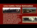 Lecture 18 part 1 - Yield and Quality Grading of Live Cattle