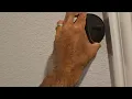 How to replace Nest thermostat batteries