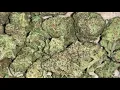 Garlic Cookies