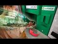 We Broke the Coinstar Machine How Many Coins Do We Have