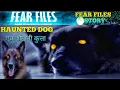 Lagu एक शैतानी कुत्ता | haunted dog fear files | fear files | haunted dog fear files | haunted dog