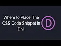 Where to Place The CSS Code Snippet in Divi