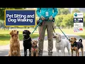 Introduction to Pet Sitting and Dog Walking Online Course