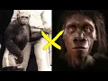 Top 10 Evolution Misconceptions That MOST People Have