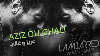                                                                  سعد لمجرد و بشير عبده   عزيز و غالي دندنها