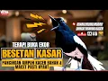 Download Lagu SUARA KACER KONSLET NGEPLONG | PANCINGAN AMPUH KACER BUNYI PAGI - SORE NYAUT EMOSI GACOR PANJANG