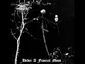 To Walk the Infernal Fields (Studio) - Darkthrone
