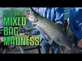 Fall Mixed-Bag Fishing Adventure in Alpena MI Walleye Salmon Trout More Fisherman s Digest