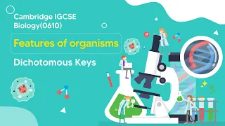 mastering dichotomous keys in igcse biology everything you need to know 