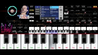 تعليم مزمار ستهم 