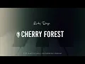 Lucky Daye - Cherry Forest (Piano Karaoke Inst.)
