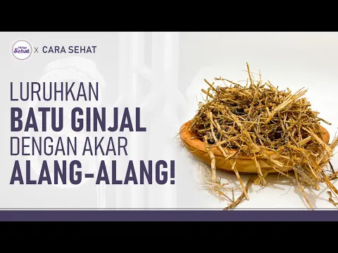 Ramuan Akar Alang-Alang untuk Meluruhkan Batu Ginjal