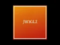 I've Been In Love (Clean) - Jungle (ft. Channel Tres)