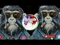 Download Lagu #jungledutch#breakbeat#remix Sagat_barbar_Jungle_dutch_full_bass_remix_germiani_voodoo_party