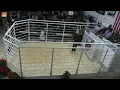 Griswold Cattle Frozen and Classic Sale DAY ONE Dec 2023 - Dec15