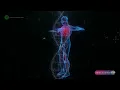 🎼​ FRECUENCIA DE CURACIÓN | 741Hz | Desintoxicación y Fortalecimiento del Sistema Inmunológico 🧬​