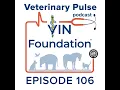 Veterinary school application strategies with Kamira Patel