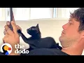 Couple Goes To Lowe’s For Soil And Comes Home With A Cat | The Dodo