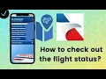 How to check out the flight status on American Airlines