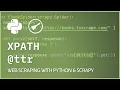 Scrapy XPath Attribute Selector