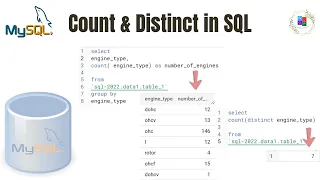 Combining the Count and Distinct Functions in SQL