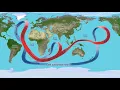 3 Causes of Ocean Currents Tide Wind and Thermohaline Circulation Which Takes Nearly 1 000 Years
