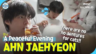 Download [C.C.] JAEHYEON's happy night with every single type of alcohol (feat. flossing) #AHNJAEHYEON MP3